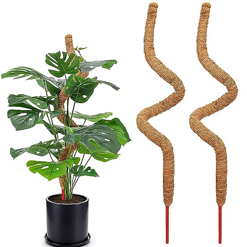 HASTHIP 2pcs 75cm Moss Stick for Plants, Bendable Plant Stakes and Supports for Money Plant, Climbing Indoor Potted Plants, Natural Coconut Fiber Plants Pole HASTHIP 2pcs 75cm Moss Stick for Plants, Bendable Plant Stakes and Supports for Money Plant, Climbing Indoor Potted Plants, Natural Coconut Fiber Plants Pole
